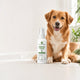 FreshPaws Dental Spray for Dogs beside a happy dog