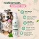 FreshPaws Enzymatic Dental Spray for Dogs with dog