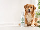 FreshPaws dental spray beside a calm dog